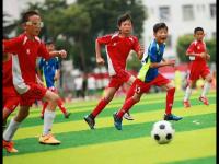 浙江俱乐部绿城VS大连英博直播_浙江俱乐部绿城VS大连英博直播免费观看_浙江俱乐部绿城